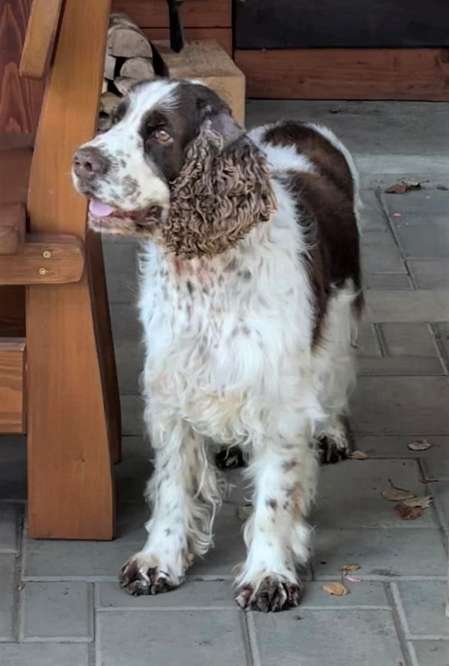 frost_7let_2.jpg, 28kB