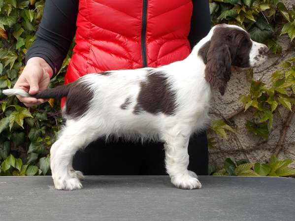 frost_8tydnu_postoj2.jpg, 35kB