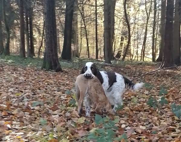 hony_2023_4 hony_2023_4.jpg, 60kB