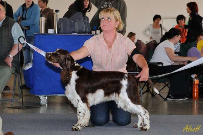 intercanis_2011_2.jpg, 37kB