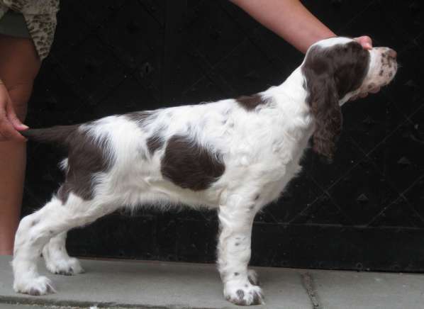 jonie_10tydnu_postoj jonie_10tydnu_postoj.jpg, 18 kB