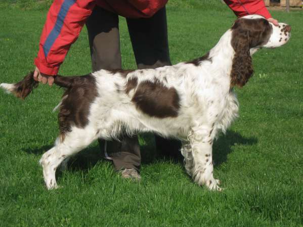 jonie_11mesicu1 jonie_11mesicu1.jpg, 35 kB