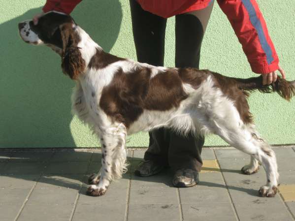 jonie_11mesicu3 jonie_11mesicu2.jpg, 31 kB