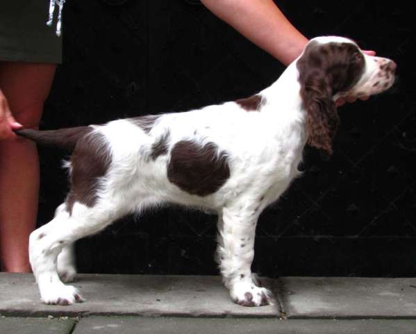 jonie_12tydnu2 jonie_12tydnu2.jpg, 21 kB