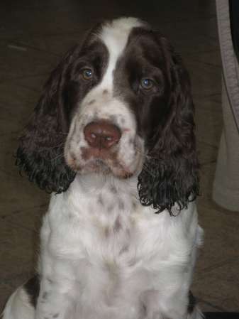 jonie_12tydnu_portret1 jonie_12tydnu_portret1.jpg, 11 kB