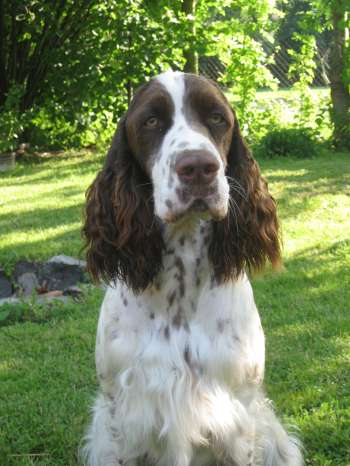 jonie_13mesicu_portret1 jonie_13mesicu_portret1.jpg, 27kB