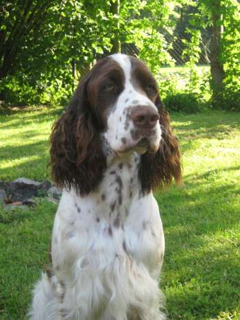 jonie_13mesicu_portret2 jonie_13mesicu_portret2.jpg, 28kB