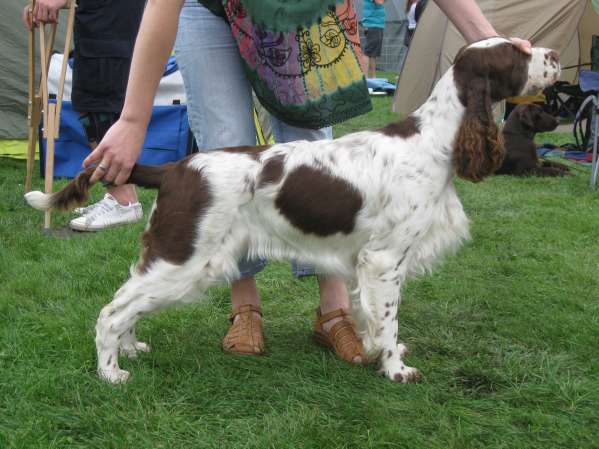 jonie_16mesicu1 jonie_16mesicu1.jpg, 38kB