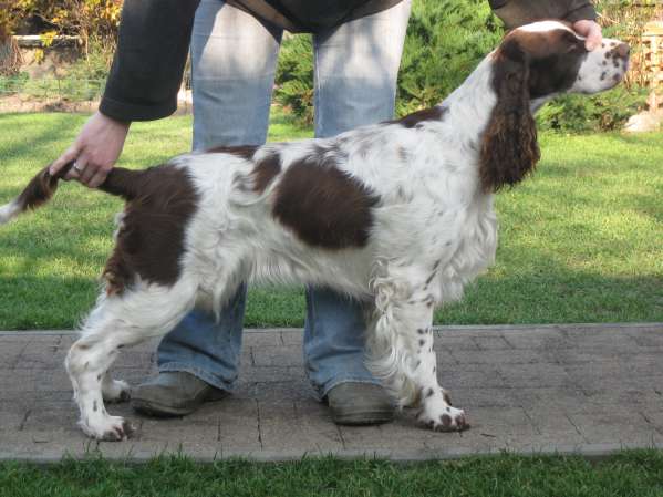 jonie_18mesicu.jpg, 36kB