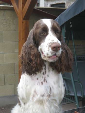 jonie_2roky_portret1 jonie_2roky_portret1.jpg, 15kB