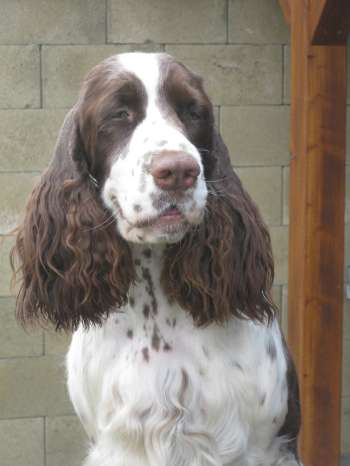 jonie_2roky_portret2 jonie_2roky_portret2.jpg, 15kB