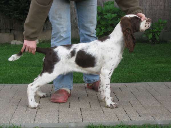 jonie_4mesice jonie_4mesice.jpg, 29 kB