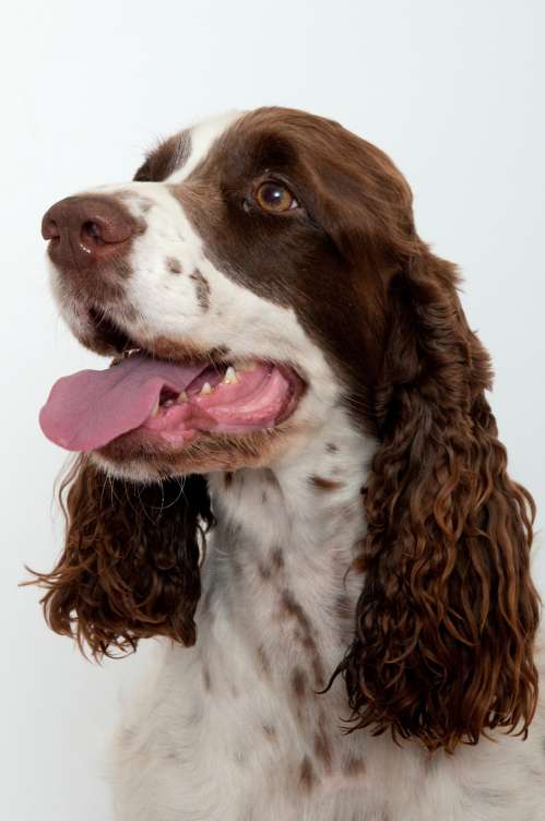 jonie_4roky_portret jonie_4roky_portret.jpg, 31kB