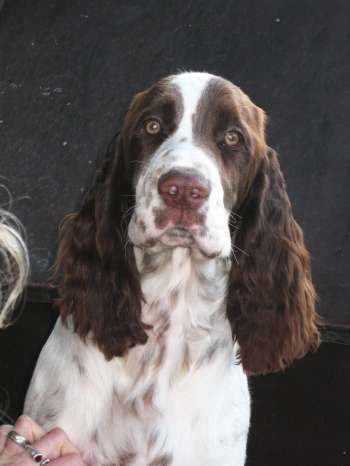 jonie_5mesicu_portret1 jonie_5mesicu_portret1.jpg, 14 kB