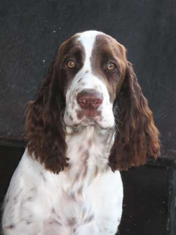 jonie_5mesicu_portret2 jonie_5mesicu_portret2.jpg, 13 kB