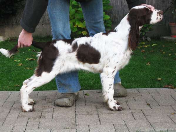 jonie_5mesicu_postoj jonie_5mesicu_postoj.jpg, 33 kB