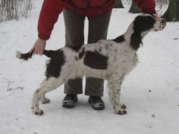 jonie_8mesicu jonie_8mesicu.jpg, 20 kB