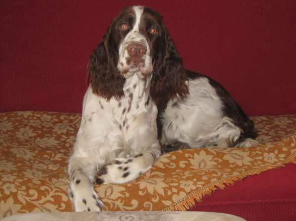 jonie_unor jonie_unor.jpg, 23 kB