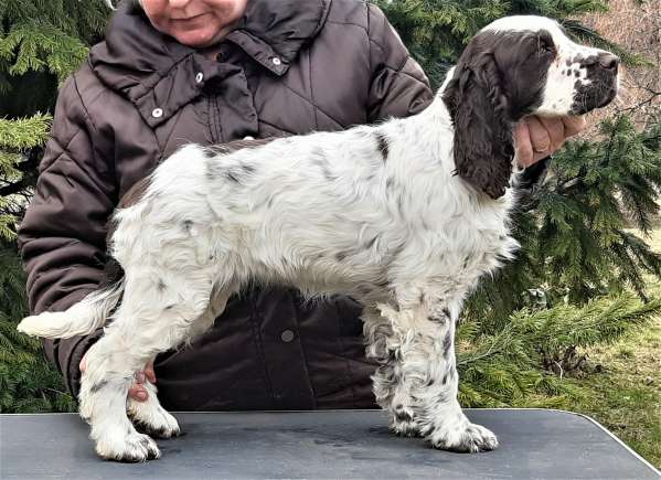 judy2_3mesice_postoj1 judy2_3mesice_postoj1.jpg, 48kB