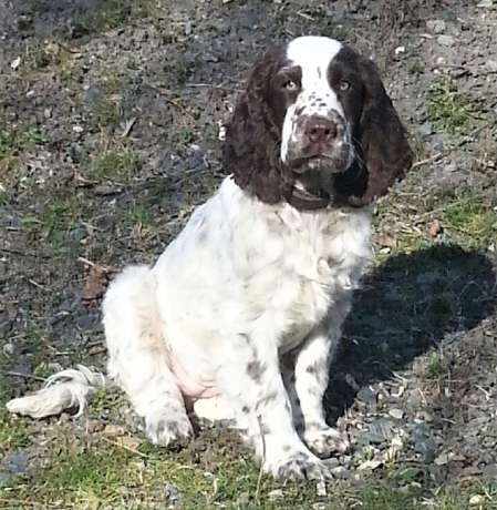 judy2_4mesice judy2_4mesice.jpg, 40kB