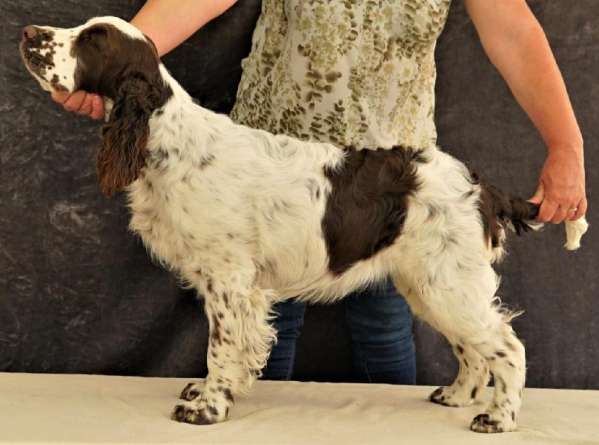 judy2_6mesicu judy2_6mesicu.jpg, 29kB