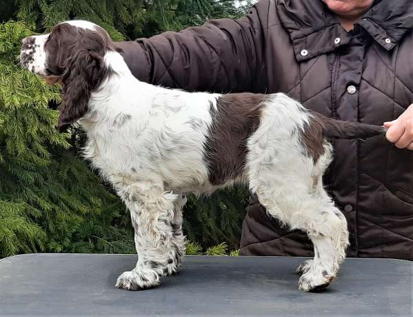 judy2_postoj_3mesice judy2_postoj_3mesice.jpg, 42kB