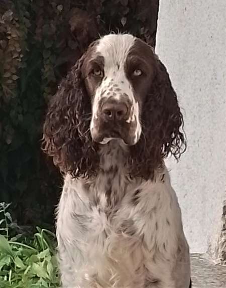 judy_10mesicu_portret judy_10mesicu_portret.jpg, 28kB