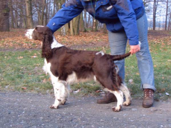 judy_leden2008_postoj.jpg, 42 kB
