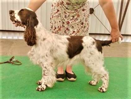 judy_nvp_mb_2023 judy_nvp_mb_2023.jpg, 18kB