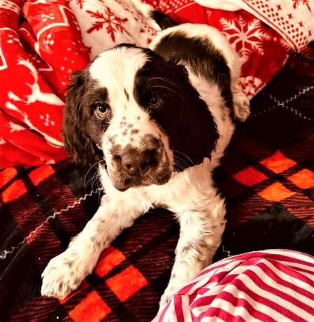 judy_portret_8tydnu judy_portret_8tydnu.jpg, 35kB