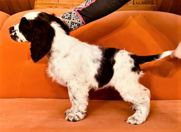 judy_postoj_8tydnu judy_postoj_8tydnu.jpeg, 24kB