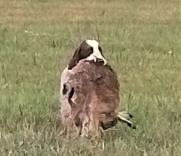 judy_zajic judy_zajic.jpg, 28kB