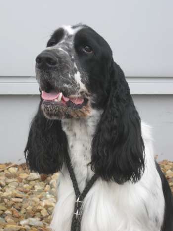 karel_2roky_portret.jpg, 14kB
