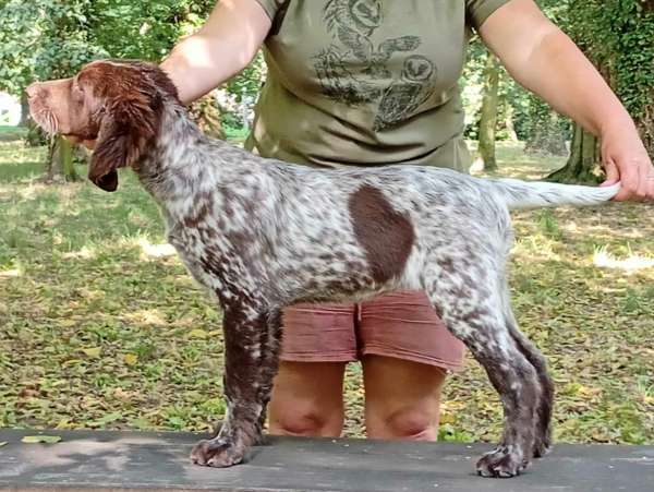 lara_3mesice_postoj lara_3mesice_postoj.jpg, 50kB