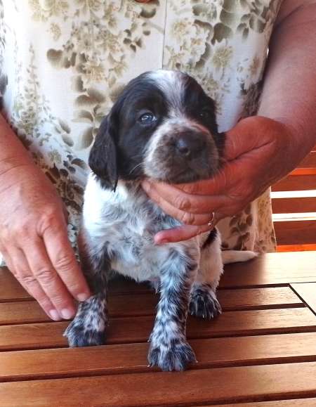 lara_4tydny_portret lara_4tydny_portret.jpg, 33kB