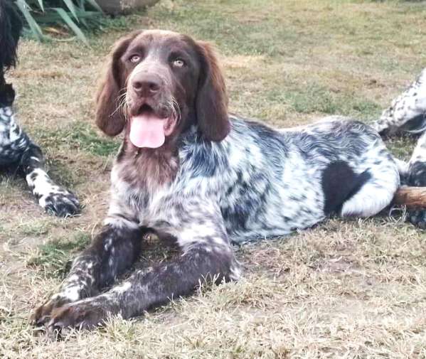 lara_5mesicu_portret lara_5mesicu_portret.jpg, 53kB