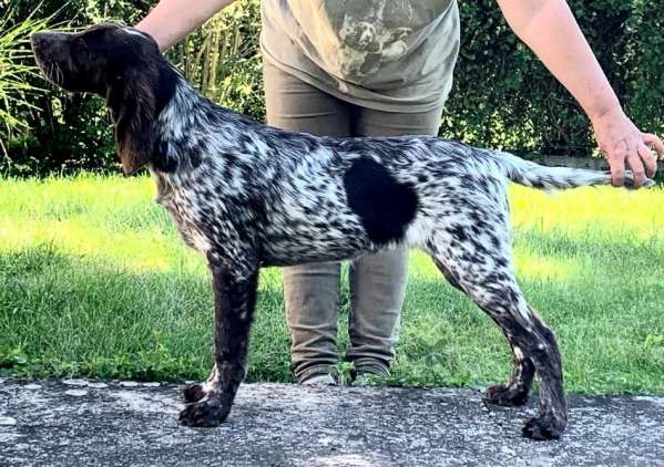 lara_5mesicu_postoj lara_5mesicu_postoj.jpg, 59kB