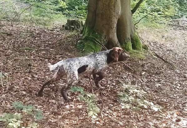 lara_5mesicu_vystavovani lara_5mesicu_vystavovani.jpg, 72kB