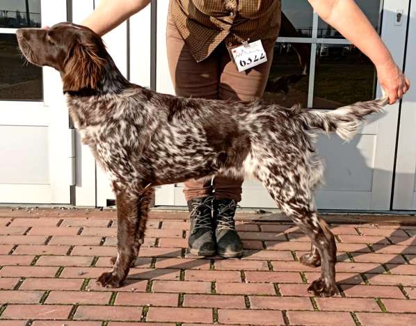 lara_7mesicu lara_7mesicu.jpg, 46kB