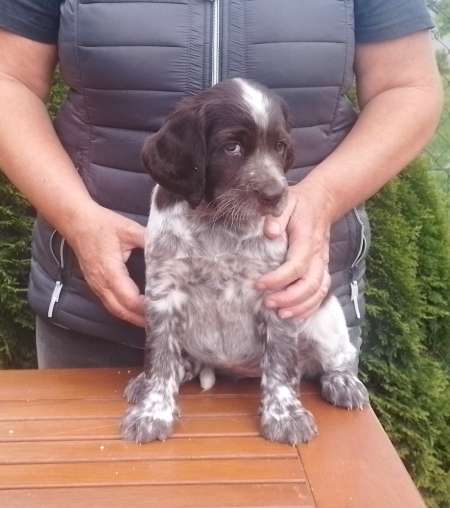 lara_7tydnu_portret lara_7tydnu_portret.jpg, 25kB