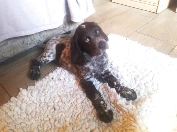 lara_9tydnu lara_9tydnu.jpg, 26kB