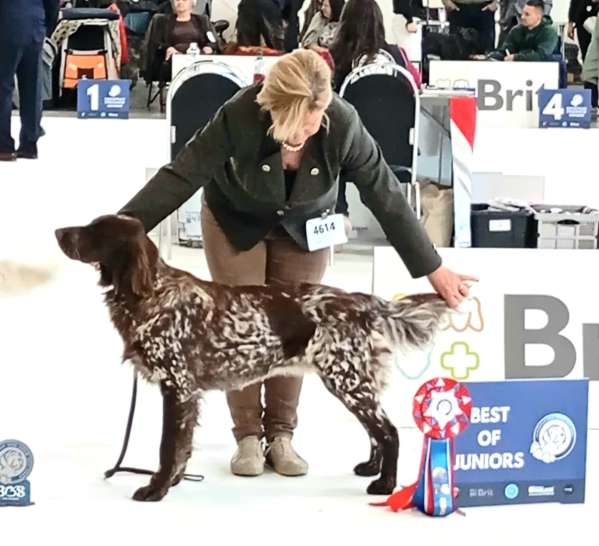 lara_eds_1 lara_eds_1.jpg, 40kB