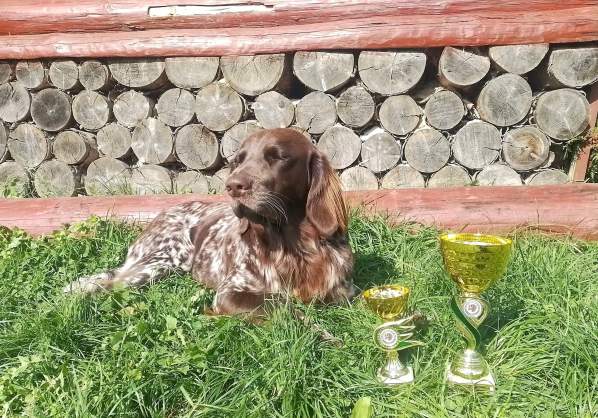 lara_humpolec2025.jpg, 68kB