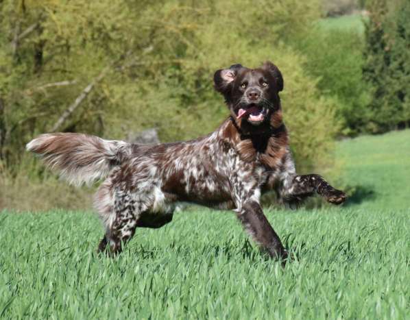 lara_jaro2025 lara_jaro2025.jpg, 40kB