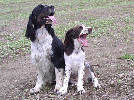 memorial_drakjudy.jpg, 55 kB