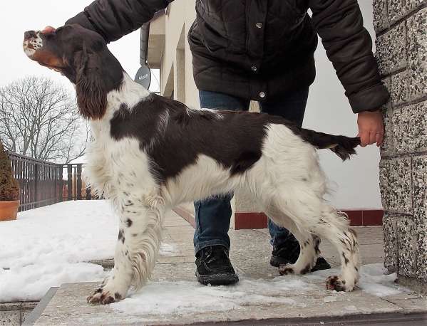 mia_11mesicu.jpg, 43kB