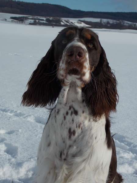 mia_1rok_portret.jpg, 24kB