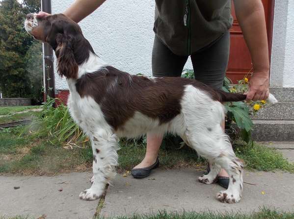 mia_6mesicu.jpg, 38kB