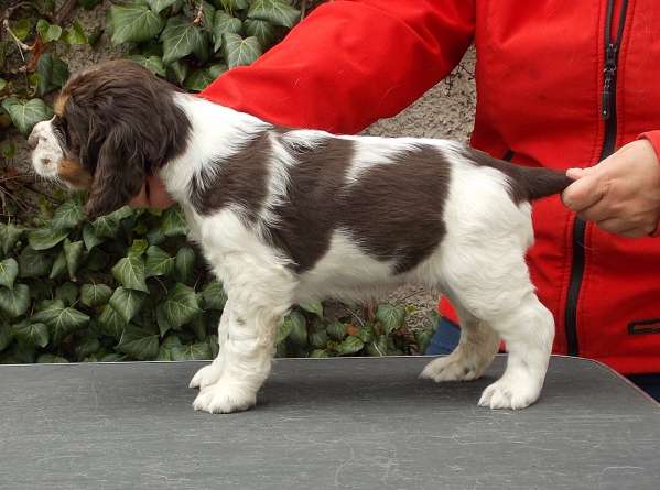 mia_6tydnu.jpg, 34kB