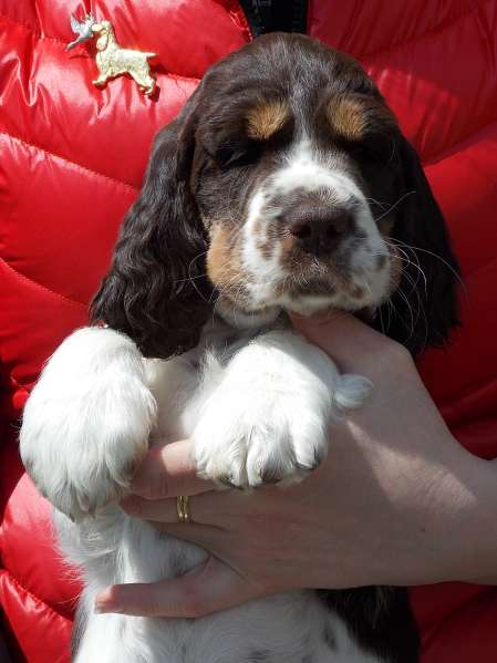 mia_8tydnu_portret.jpg, 27kB